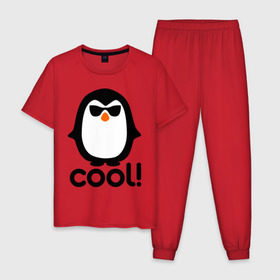 Мужская пижама хлопок с принтом Стильный клевый крутой пингвин , 100% хлопок | брюки и футболка прямого кроя, без карманов, на брюках мягкая резинка на поясе и по низу штанин
 | пингвин