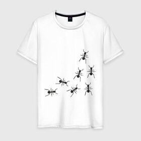 Мужская футболка хлопок с принтом муравьи , 100% хлопок | прямой крой, круглый вырез горловины, длина до линии бедер, слегка спущенное плечо. | животные | звери | насекомые