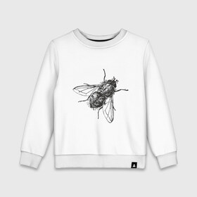 Детский свитшот хлопок с принтом Назойливая муха , 100% хлопок | круглый вырез горловины, эластичные манжеты, пояс и воротник | животные | муха | назойливая | назойливая муха | прикольные картинки