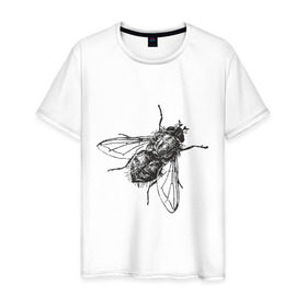 Мужская футболка хлопок с принтом Назойливая муха , 100% хлопок | прямой крой, круглый вырез горловины, длина до линии бедер, слегка спущенное плечо. | животные | муха | назойливая | назойливая муха | прикольные картинки