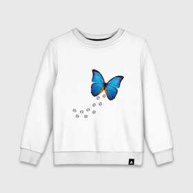 Детский свитшот хлопок с принтом Реалистичная бабочка , 100% хлопок | круглый вырез горловины, эластичные манжеты, пояс и воротник | бабочка