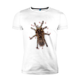 Мужская футболка премиум с принтом Тарантул , 92% хлопок, 8% лайкра | приталенный силуэт, круглый вырез ворота, длина до линии бедра, короткий рукав | животные | насекомые | паук | пауки | тарантул | тарантулы