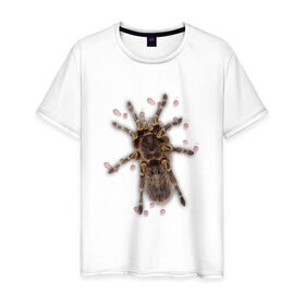 Мужская футболка хлопок с принтом Тарантул , 100% хлопок | прямой крой, круглый вырез горловины, длина до линии бедер, слегка спущенное плечо. | животные | насекомые | паук | пауки | тарантул | тарантулы