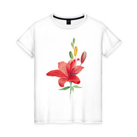 Женская футболка хлопок с принтом Red lily , 100% хлопок | прямой крой, круглый вырез горловины, длина до линии бедер, слегка спущенное плечо | Тематика изображения на принте: 8 марта | букет | красная лилия | лилия | международный женский день | цветы