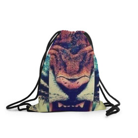 Рюкзак-мешок 3D с принтом SWAG tiger , 100% полиэстер | плотность ткани — 200 г/м2, размер — 35 х 45 см; лямки — толстые шнурки, застежка на шнуровке, без карманов и подкладки | bshirts | swag | tiger | сваг | свог | свэг | тигр
