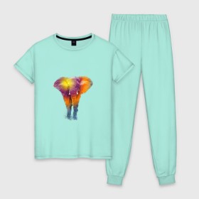 Женская пижама хлопок с принтом Слон watercolor , 100% хлопок | брюки и футболка прямого кроя, без карманов, на брюках мягкая резинка на поясе и по низу штанин | слон