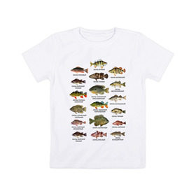 Детская футболка хлопок с принтом Окуни. , 100% хлопок | круглый вырез горловины, полуприлегающий силуэт, длина до линии бедер | Тематика изображения на принте: для рыбака | окуни | окунь | подарок рыбаку | рыбаку | рыбалка