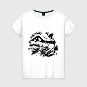 Женская футболка хлопок с принтом Образ кошки , 100% хлопок | прямой крой, круглый вырез горловины, длина до линии бедер, слегка спущенное плечо | киса | котенок | кошка