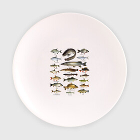 Тарелка 3D с принтом Популярные виды рыб , фарфор | диаметр - 210 мм
диаметр для нанесения принта - 120 мм | рыба | рыбалка | рыбачить | туризм | туристические | туристу | улов