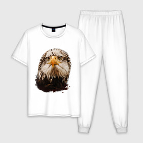 Мужская пижама хлопок с принтом Орел , 100% хлопок | брюки и футболка прямого кроя, без карманов, на брюках мягкая резинка на поясе и по низу штанин
 | голова | голова орла | кавказ | кавказец | орёл | птица | птичка