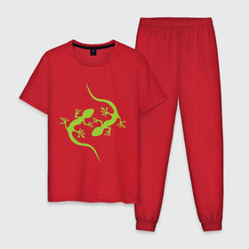 Мужская пижама хлопок с принтом Ящерицы , 100% хлопок | брюки и футболка прямого кроя, без карманов, на брюках мягкая резинка на поясе и по низу штанин
 | зеленый | ящерки | ящеры
