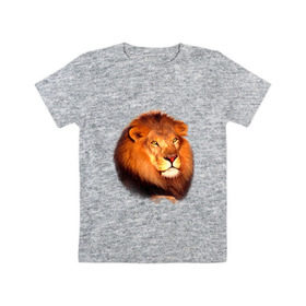 Детская футболка хлопок с принтом Лев , 100% хлопок | круглый вырез горловины, полуприлегающий силуэт, длина до линии бедер | animals | lion | mountain | животные | лев | прикольные картинки