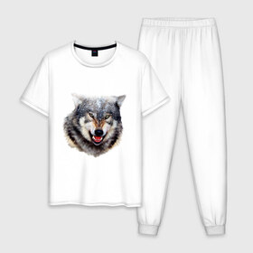 Мужская пижама хлопок с принтом Волк , 100% хлопок | брюки и футболка прямого кроя, без карманов, на брюках мягкая резинка на поясе и по низу штанин
 | animals | mountain | wolf | волк | животные | прикольные картинки