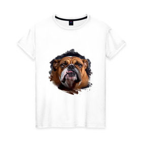 Женская футболка хлопок с принтом Бульдог , 100% хлопок | прямой крой, круглый вырез горловины, длина до линии бедер, слегка спущенное плечо | animals | dog | mountain | бульдог | животные | прикольные картинки | собака