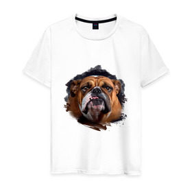 Мужская футболка хлопок с принтом Бульдог , 100% хлопок | прямой крой, круглый вырез горловины, длина до линии бедер, слегка спущенное плечо. | Тематика изображения на принте: animals | dog | mountain | бульдог | животные | прикольные картинки | собака