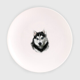 Тарелка 3D с принтом Хаски , фарфор | диаметр - 210 мм
диаметр для нанесения принта - 120 мм | animals | dog | mountain | животные | прикольные картинки | собака | хаски