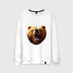 Мужской свитшот хлопок с принтом Медведь , 100% хлопок |  | animals | bear | mountain | животные | медведь | прикольные картинки
