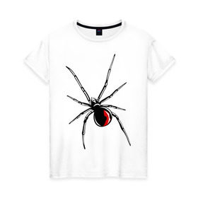 Женская футболка хлопок с принтом Черная вдова , 100% хлопок | прямой крой, круглый вырез горловины, длина до линии бедер, слегка спущенное плечо | паук | тарантул | черная вдова | черная вдованасекомые