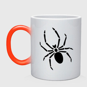 Кружка хамелеон с принтом Страшный паук , керамика | меняет цвет при нагревании, емкость 330 мл | насекомые | паук | паук на спине | страшный паук | тарантул