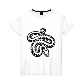 Женская футболка хлопок с принтом Силуэт змеи , 100% хлопок | прямой крой, круглый вырез горловины, длина до линии бедер, слегка спущенное плечо | животные | змеиная кожа | змея | прикольные картинки | силуэт змеи