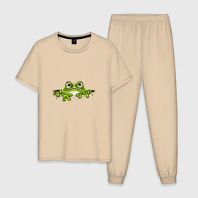 Мужская пижама хлопок с принтом Жаба , 100% хлопок | брюки и футболка прямого кроя, без карманов, на брюках мягкая резинка на поясе и по низу штанин
 | Тематика изображения на принте: жаба | лягушка | няшка | позитив и смайлы | прикольные картинки
