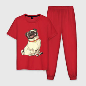Мужская пижама хлопок с принтом Радостный мопс , 100% хлопок | брюки и футболка прямого кроя, без карманов, на брюках мягкая резинка на поясе и по низу штанин
 | Тематика изображения на принте: милый | мопс | пес | радостная | собака