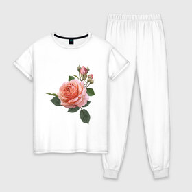 Женская пижама хлопок с принтом Розовая роза , 100% хлопок | брюки и футболка прямого кроя, без карманов, на брюках мягкая резинка на поясе и по низу штанин | девушкам | розовая роза | цветок