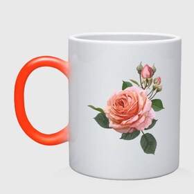 Кружка хамелеон с принтом Розовая роза , керамика | меняет цвет при нагревании, емкость 330 мл | девушкам | розовая роза | цветок