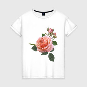Женская футболка хлопок с принтом Розовая роза , 100% хлопок | прямой крой, круглый вырез горловины, длина до линии бедер, слегка спущенное плечо | Тематика изображения на принте: девушкам | розовая роза | цветок