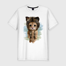 Мужская футболка премиум с принтом Милый котик , 92% хлопок, 8% лайкра | приталенный силуэт, круглый вырез ворота, длина до линии бедра, короткий рукав | cat | киса | котик | кошка | милаха | милый котик | шапка