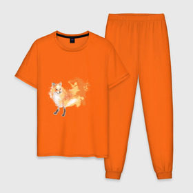 Мужская пижама хлопок с принтом Лиса акварель , 100% хлопок | брюки и футболка прямого кроя, без карманов, на брюках мягкая резинка на поясе и по низу штанин
 | Тематика изображения на принте: fox | акварель | животные | лисы | мило