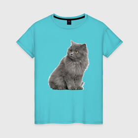 Женская футболка хлопок с принтом Кот , 100% хлопок | прямой крой, круглый вырез горловины, длина до линии бедер, слегка спущенное плечо | kisa | kotik | кот | котенок | кошка