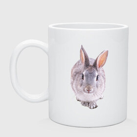 Кружка с принтом Кролик , керамика | объем — 330 мл, диаметр — 80 мм. Принт наносится на бока кружки, можно сделать два разных изображения | заяц | кролик | крольчёнок | крольчишка