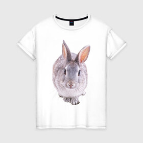 Женская футболка хлопок с принтом Кролик , 100% хлопок | прямой крой, круглый вырез горловины, длина до линии бедер, слегка спущенное плечо | заяц | кролик | крольчёнок | крольчишка