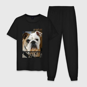 Мужская пижама хлопок с принтом Английский бульдог , 100% хлопок | брюки и футболка прямого кроя, без карманов, на брюках мягкая резинка на поясе и по низу штанин
 | Тематика изображения на принте: drug | английский бульдог | порода | собака