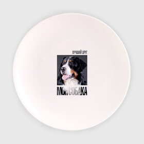 Тарелка с принтом Бернский зенненхунд , фарфор | диаметр - 210 мм
диаметр для нанесения принта - 120 мм | Тематика изображения на принте: drug | бернский зенненхунд | порода | собака