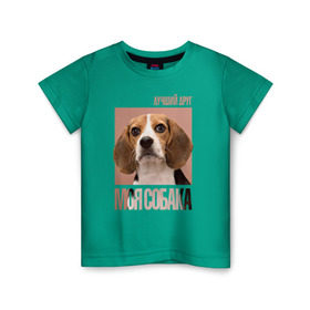 Детская футболка хлопок с принтом Бигль , 100% хлопок | круглый вырез горловины, полуприлегающий силуэт, длина до линии бедер | drug | бигль | порода | собака