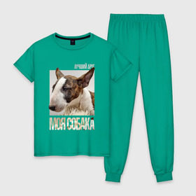 Женская пижама хлопок с принтом Бультерьер , 100% хлопок | брюки и футболка прямого кроя, без карманов, на брюках мягкая резинка на поясе и по низу штанин | drug | порода | собака