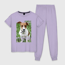 Женская пижама хлопок с принтом Джек-рассел-терьер , 100% хлопок | брюки и футболка прямого кроя, без карманов, на брюках мягкая резинка на поясе и по низу штанин | Тематика изображения на принте: drug | джек рассел терьер | порода | собака