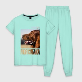 Женская пижама хлопок с принтом Ирландский сеттер , 100% хлопок | брюки и футболка прямого кроя, без карманов, на брюках мягкая резинка на поясе и по низу штанин | Тематика изображения на принте: drug | ирландский сеттер | порода | собака