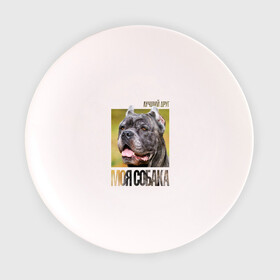Тарелка с принтом Канне корсо , фарфор | диаметр - 210 мм
диаметр для нанесения принта - 120 мм | Тематика изображения на принте: drug | канне корсо | порода | собака
