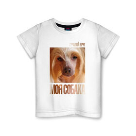 Детская футболка хлопок с принтом Китайская хохлатая собака , 100% хлопок | круглый вырез горловины, полуприлегающий силуэт, длина до линии бедер | китайская хохлатая собака | порода | собака