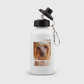 Бутылка спортивная с принтом Китайская хохлатая собака , металл | емкость — 500 мл, в комплекте две пластиковые крышки и карабин для крепления | китайская хохлатая собака | порода | собака