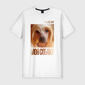 Мужская футболка премиум с принтом Китайская хохлатая собака , 92% хлопок, 8% лайкра | приталенный силуэт, круглый вырез ворота, длина до линии бедра, короткий рукав | китайская хохлатая собака | порода | собака