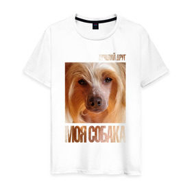 Мужская футболка хлопок с принтом Китайская хохлатая собака , 100% хлопок | прямой крой, круглый вырез горловины, длина до линии бедер, слегка спущенное плечо. | китайская хохлатая собака | порода | собака