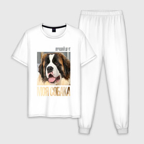 Мужская пижама хлопок с принтом Московская сторожевая , 100% хлопок | брюки и футболка прямого кроя, без карманов, на брюках мягкая резинка на поясе и по низу штанин
 | drug | пород | собака