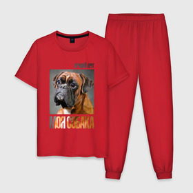 Мужская пижама хлопок с принтом Немецкий боксер , 100% хлопок | брюки и футболка прямого кроя, без карманов, на брюках мягкая резинка на поясе и по низу штанин
 | Тематика изображения на принте: drug | немецкий боксер | порода | собака