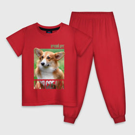 Детская пижама хлопок с принтом Вельш-корги-пемброк , 100% хлопок |  брюки и футболка прямого кроя, без карманов, на брюках мягкая резинка на поясе и по низу штанин
 | Тематика изображения на принте: drug | вельш корги пемброк | порода | собака