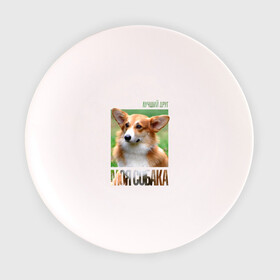 Тарелка с принтом Вельш-корги-пемброк , фарфор | диаметр - 210 мм
диаметр для нанесения принта - 120 мм | drug | вельш корги пемброк | порода | собака