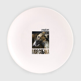 Тарелка с принтом Псовая русская борзая , фарфор | диаметр - 210 мм
диаметр для нанесения принта - 120 мм | порода | псовая русская борзая | собака